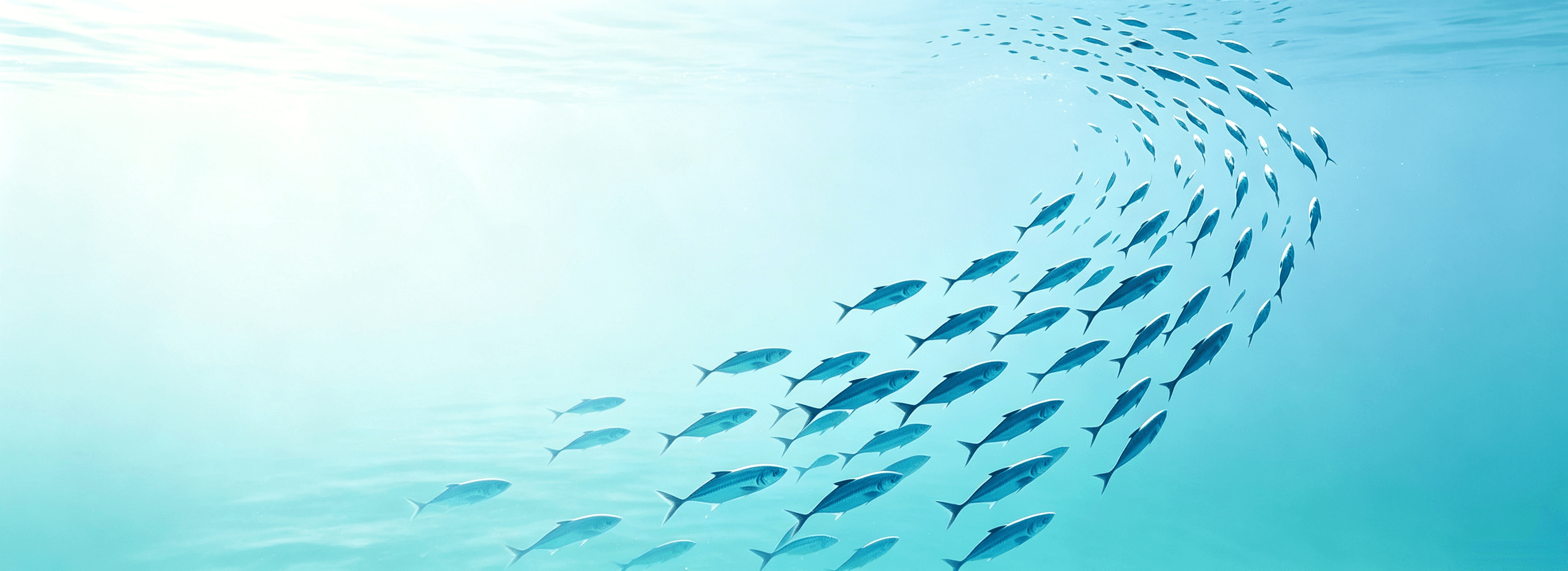 Empowering Global Aquaculture