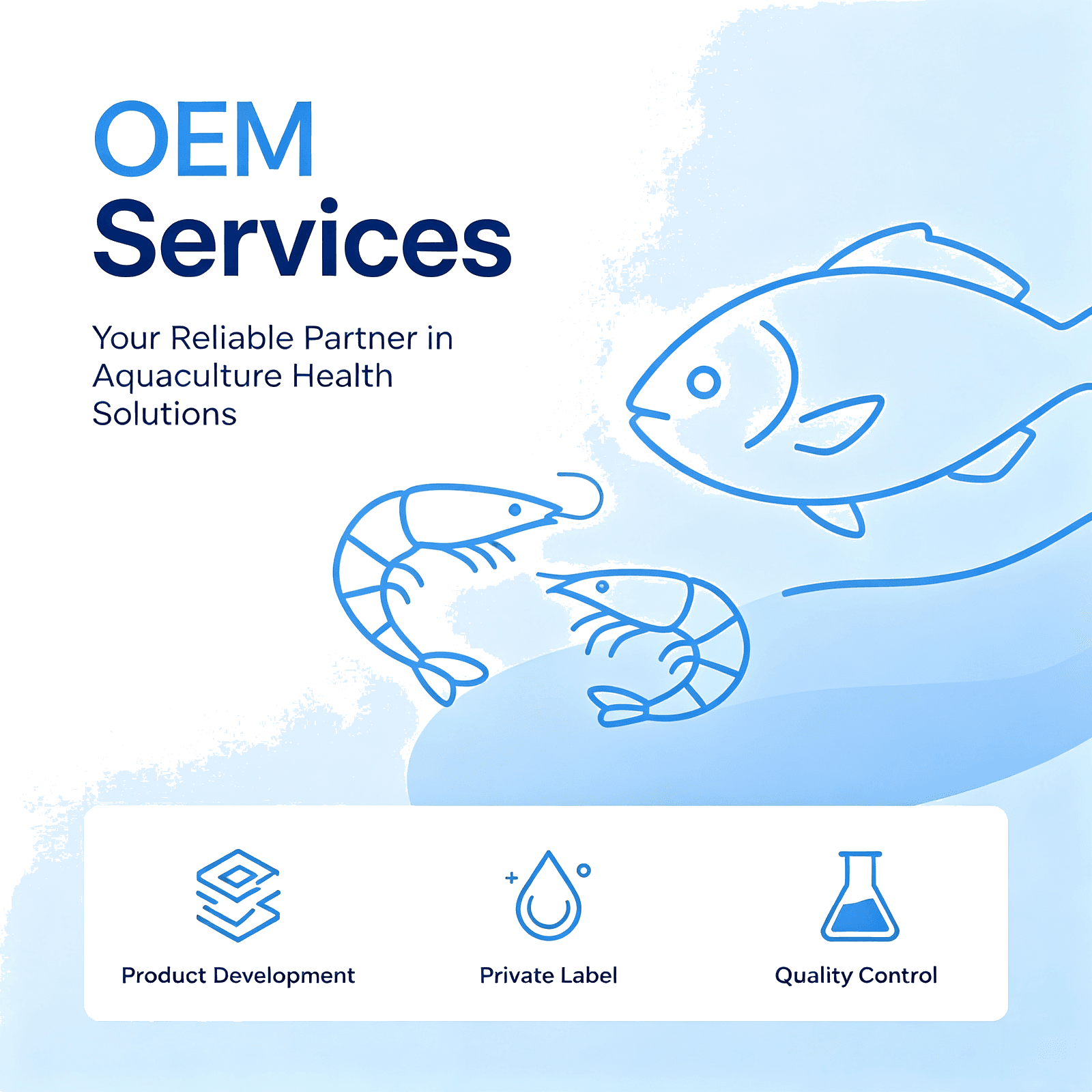 OEM Services